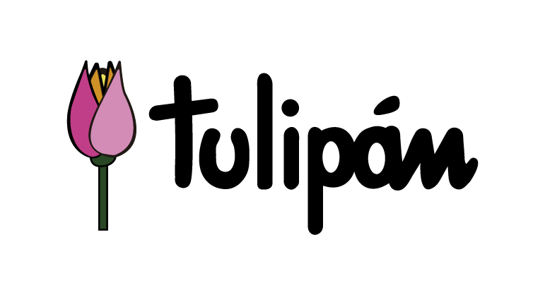 Tulipan